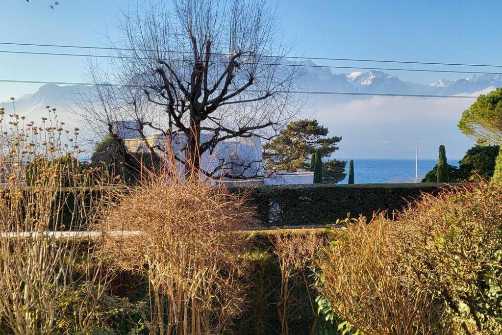 Side/fire Place/garden/freeparking/45m2 * La Tour-de-Peilz